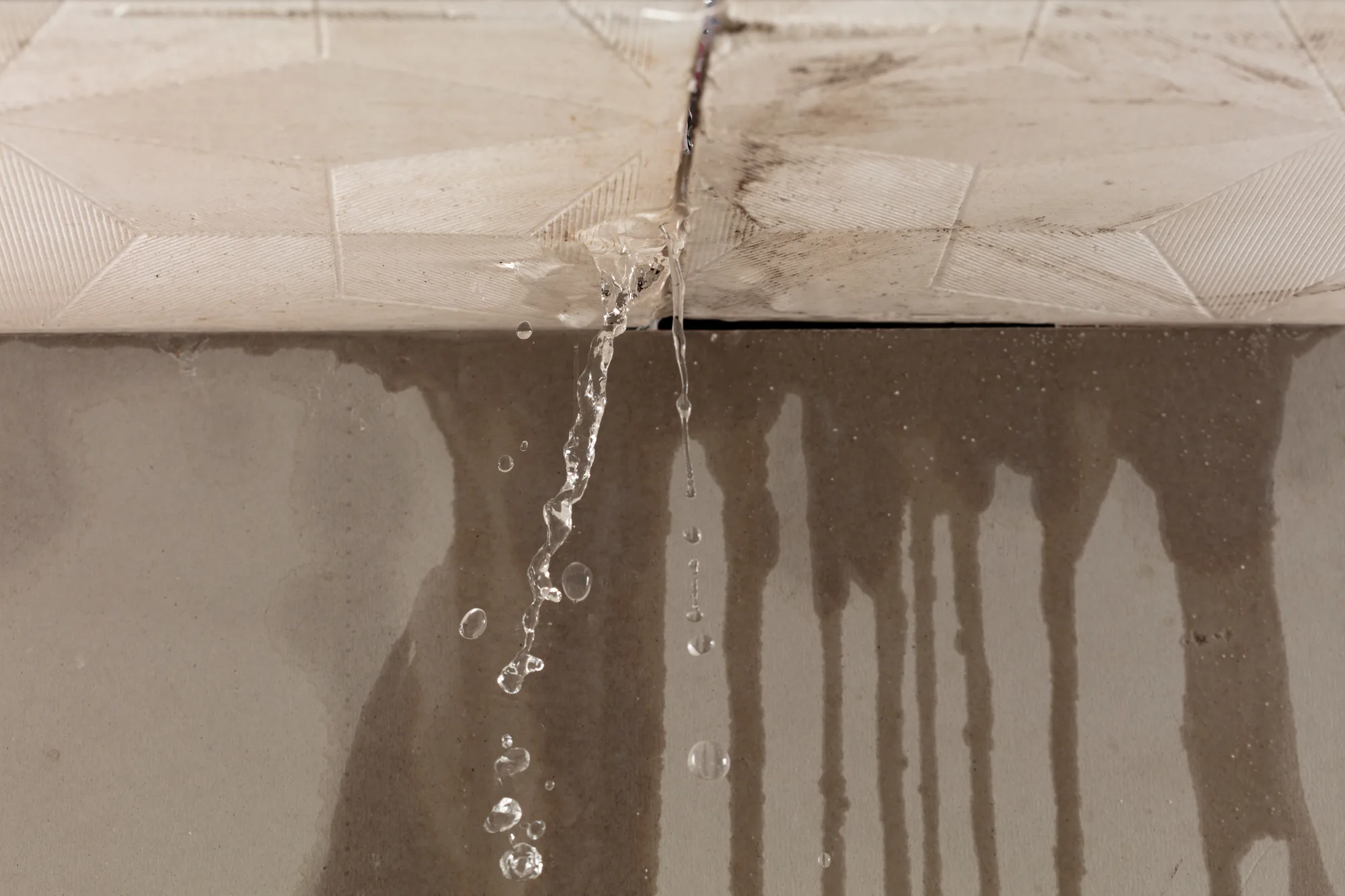 Water Mitigation